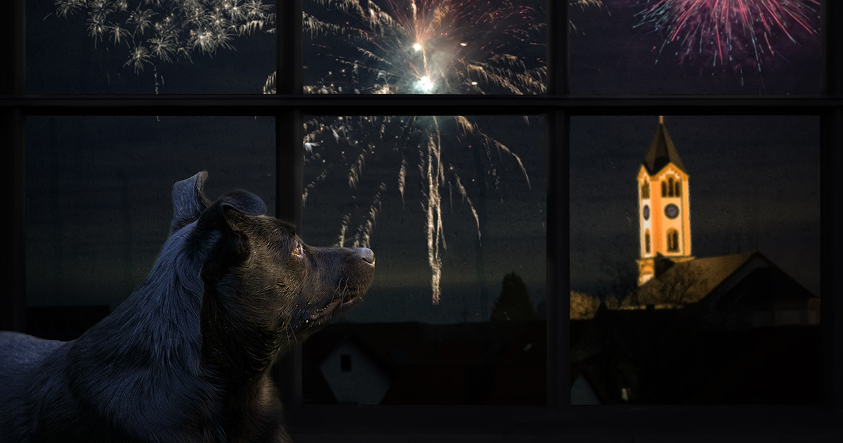 Olanda, dal 2026 stop completo ai fuochi d’artificio per uso privato