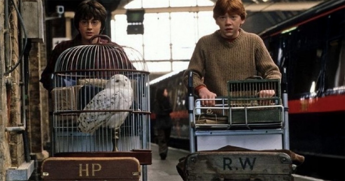 Nasce il primo hotel al mondo totalmente ispirato a Harry Potter (vicino all’Italia)