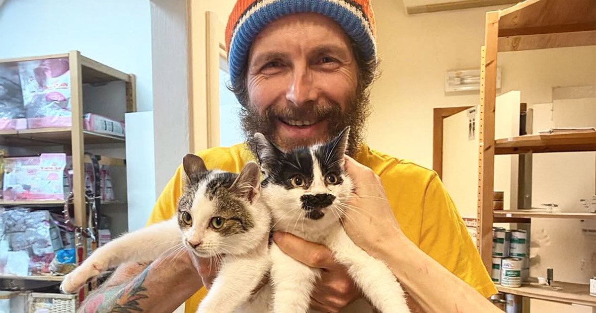 Jovanotti amico dei gatti dona due quintali di cibo per i randagi