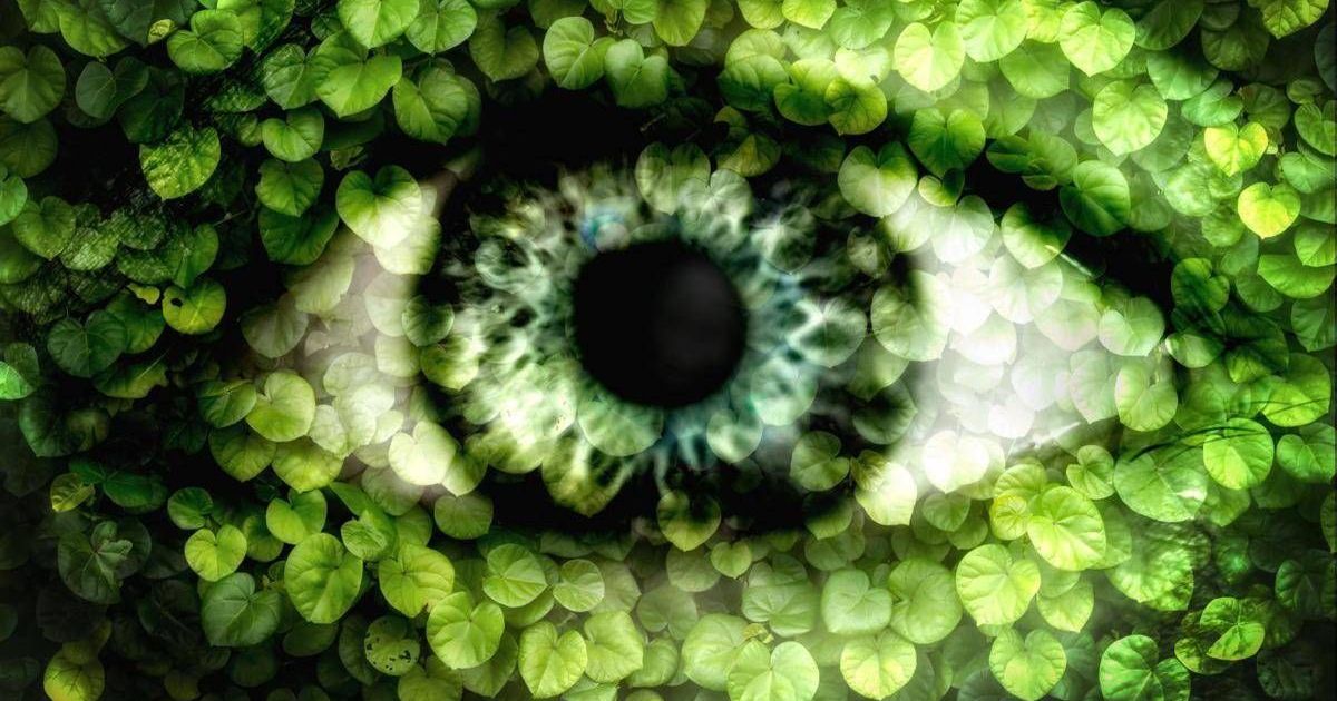 Allergie, non solo pollini nemici degli occhi: l’inquinamento aumenta fino a 9 volte il rischio di congiuntivite