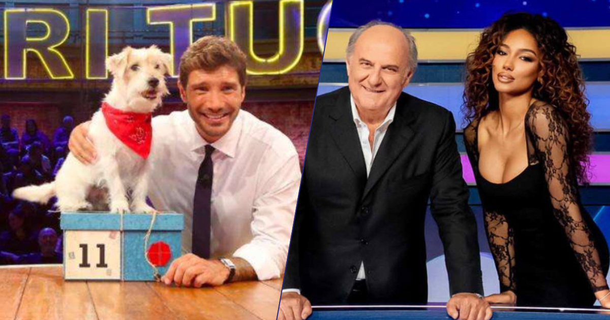 Stefano De Martino e quella frase su Gerry Scotti che gela lo studio siparietto a sorpresa ad Affari Tuoi